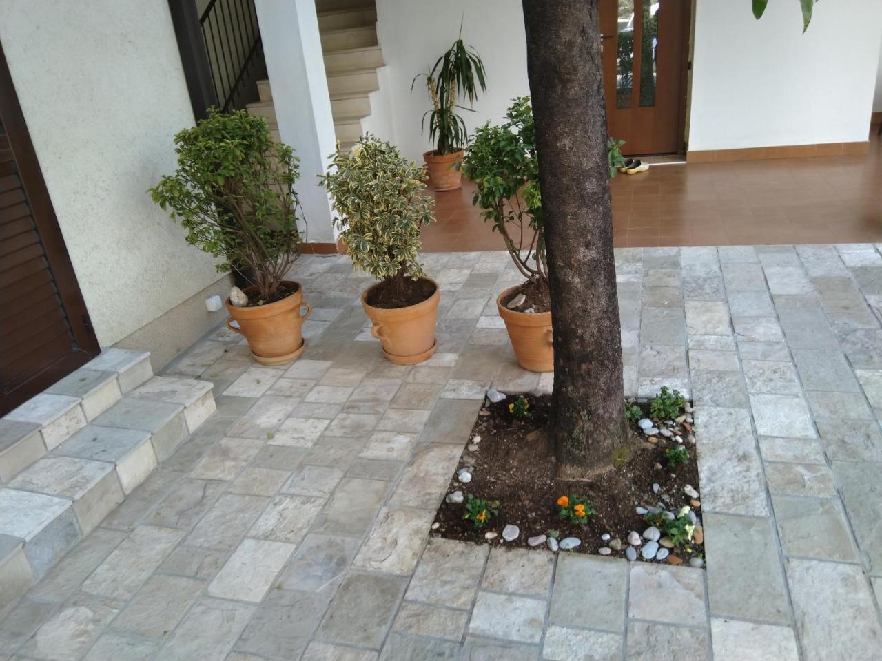 Studio Apartments 6 Palmi Budva Exteriör bild
